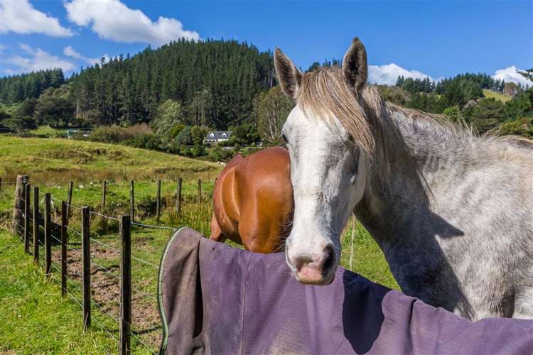 2013 Akatarawa Road Akatarawa Valley_37