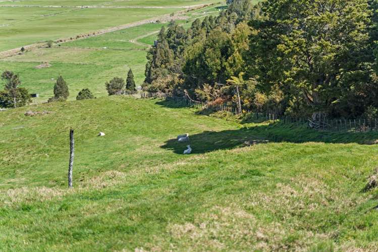 361 Apotu Road Kauri_33