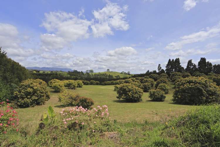 416 Youngson Road Whakamarama_4