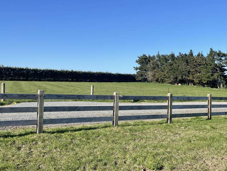 Phelps Way Morisons Bush_14