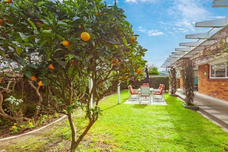 47a Riverbend Road Onekawa_22