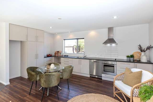 17A Bolton Av Spreydon_1