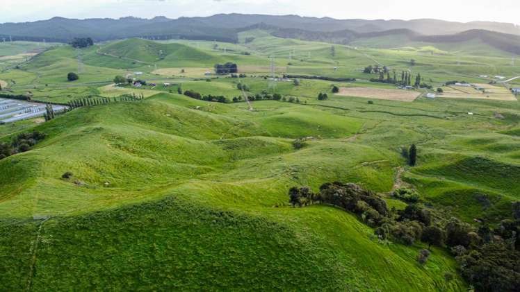 932 Kopuku Road Maramarua_7