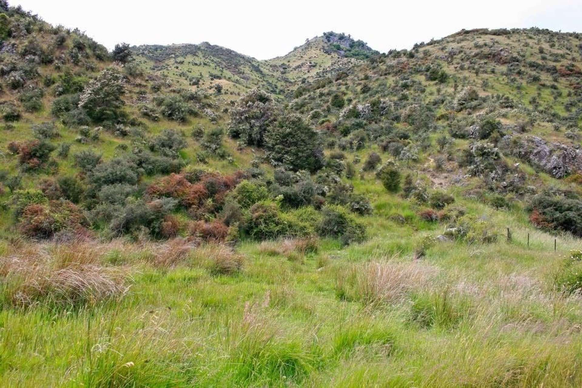 Leatham Road Wairau Valley_0