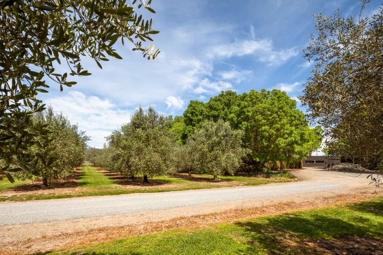 201 New Renwick Road Burleigh_24