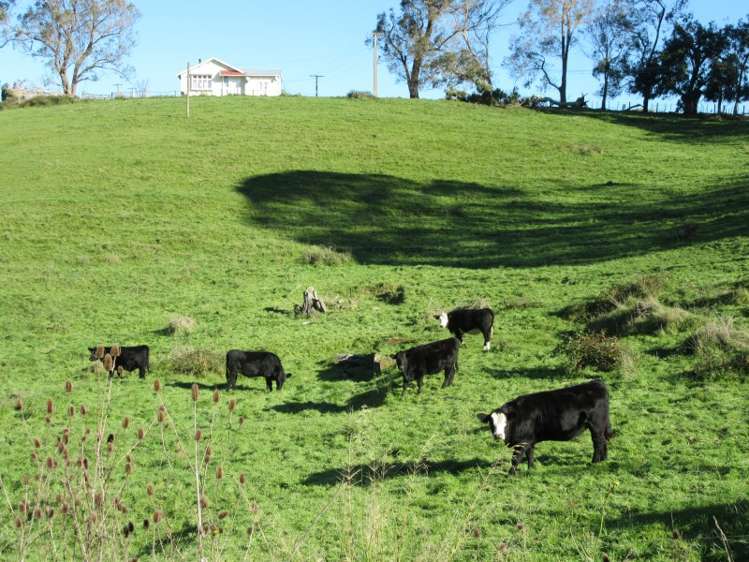 208 Pukeora Scenic Road Waipukurau and Surrounds_24