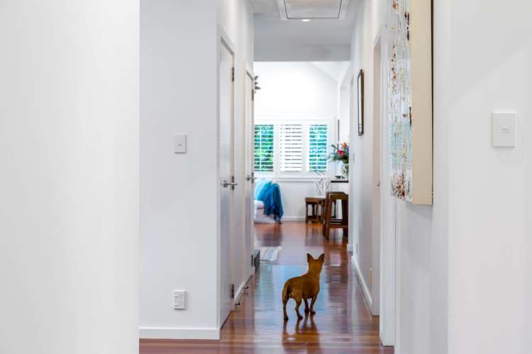 298 Rimmer Road Helensville_12