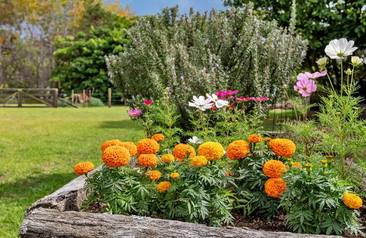 300 Cemetery Road Maunu_38