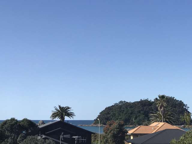 6 Rita Street - Includes Lawns and Gardens Mount Maunganui_2