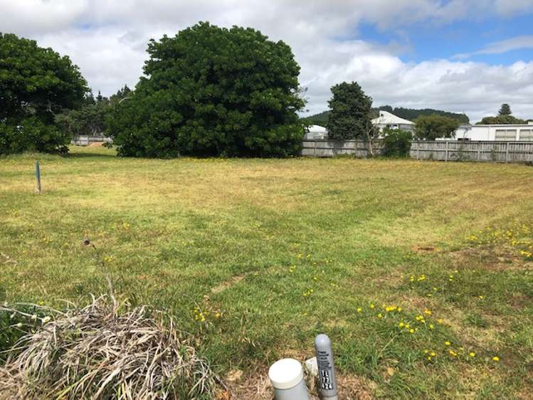 6 Flame Tree Lane Taipa_7