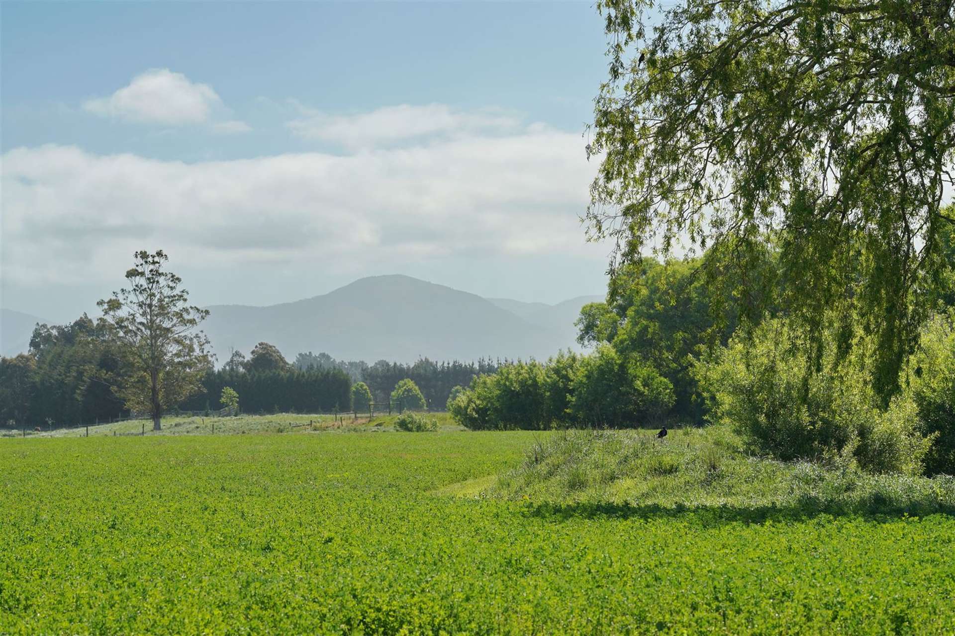 421 Birch Hill Road Okuku Waimakariri Houses for Sale One Roof