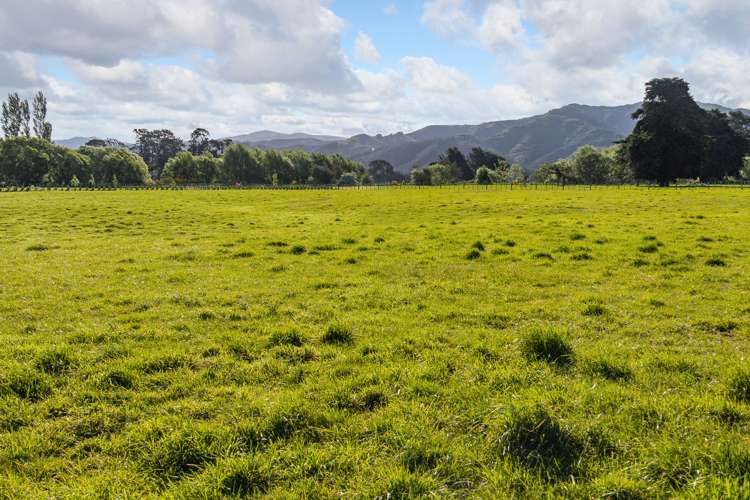 98 Thomas Road Carterton_7