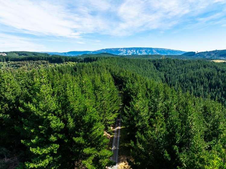 689 Big Stone Road Kuri Bush_34