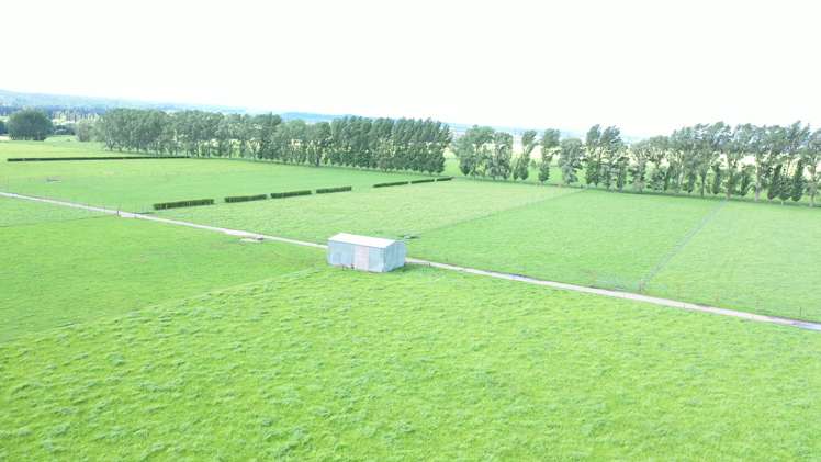 4980 Galatea Road Murupara Surrounds_22