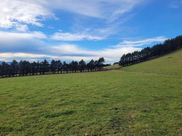 2 Danseys Pass Road Livingstone_6