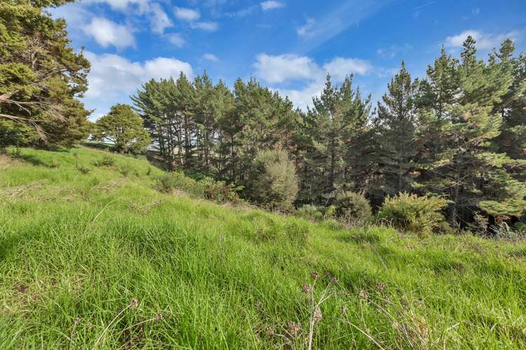 Campbell Road Parua Bay_11