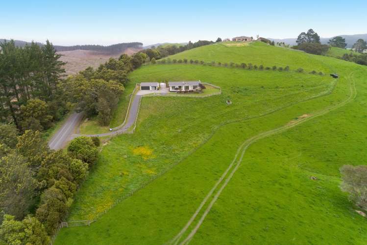 179 Ferndale Road Maramarua Forest_13