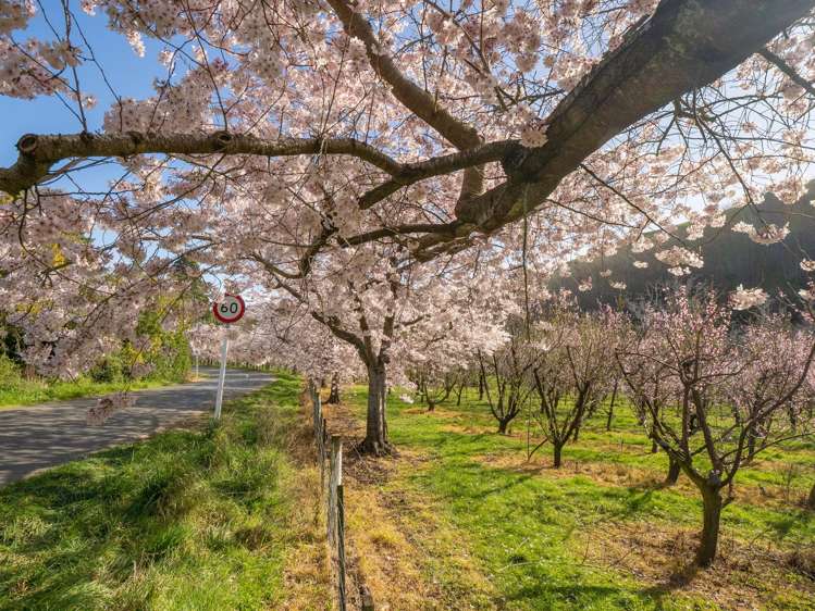 4217 Christchurch Akaroa Road Little River_36