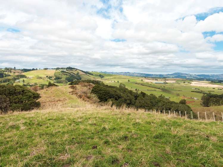 149 Waller Road Puni_10