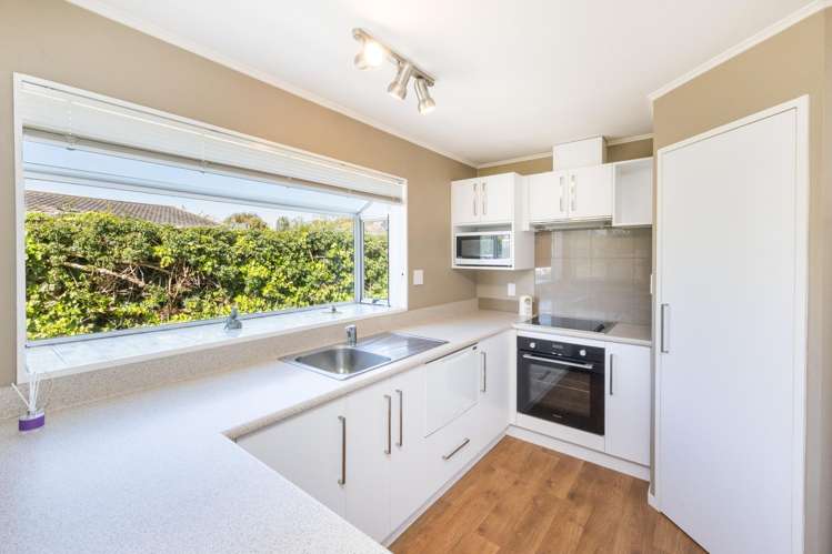 12 Spelman Court Ashhurst_1