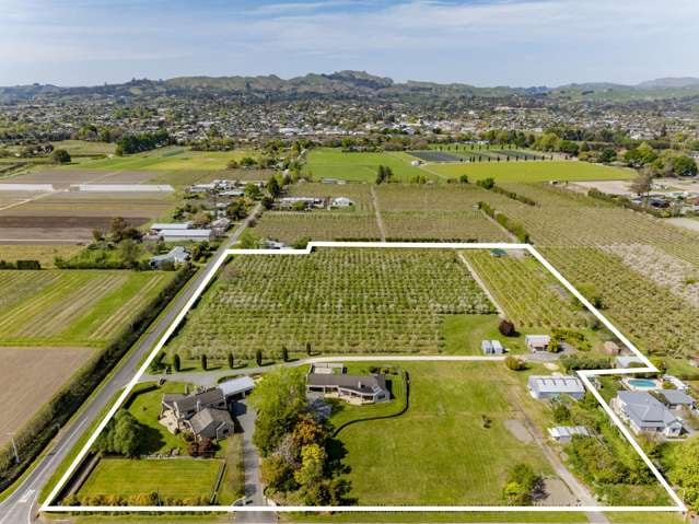 375 St Georges Road Havelock North_2