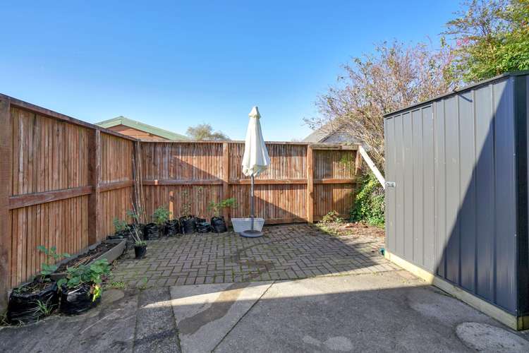 50a Queenwood Avenue Queenwood_11