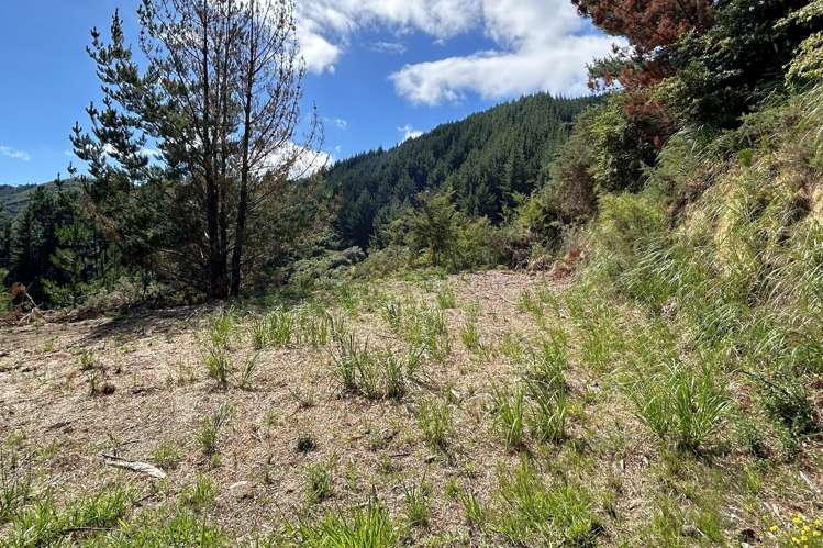 95 Matenga Road Ligar Bay_5