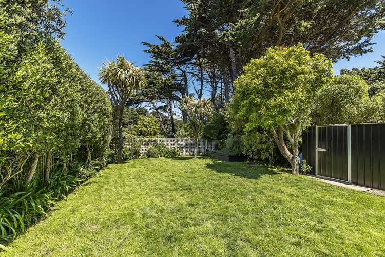 58 Tannadyce Street Strathmore Park_16