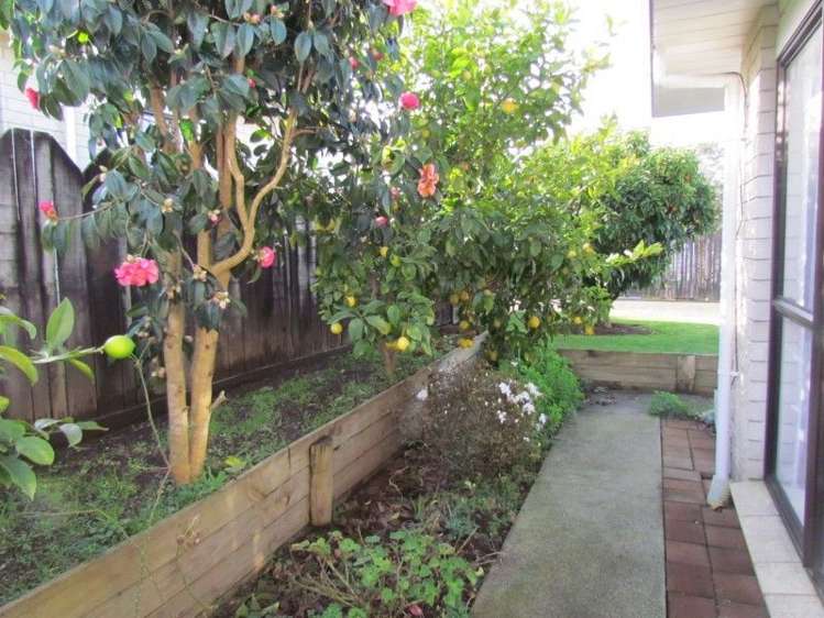 21b Amaranth Street Waihi_15