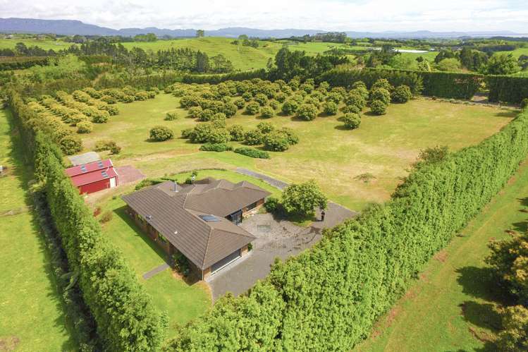 416 Youngson Road Whakamarama_18
