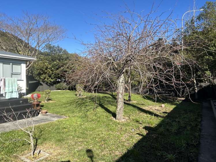 28 Canterbury Street Picton_9