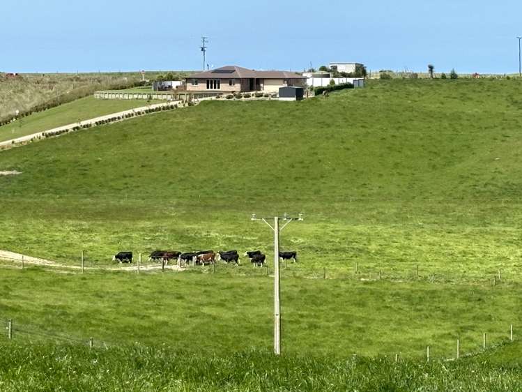 11 Irvine Road Herbert_20