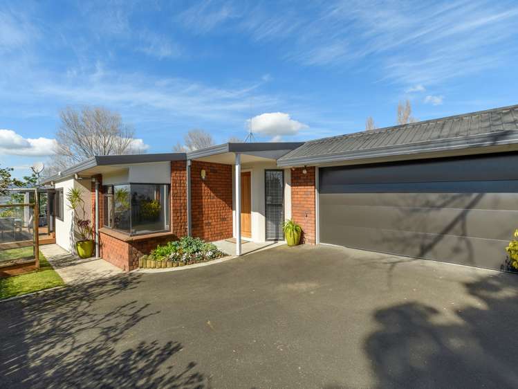 8a Eighth Avenue Tauranga Central_17