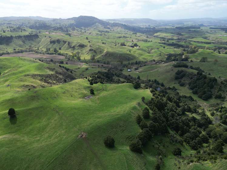 Paraketu Road Waimiha_9