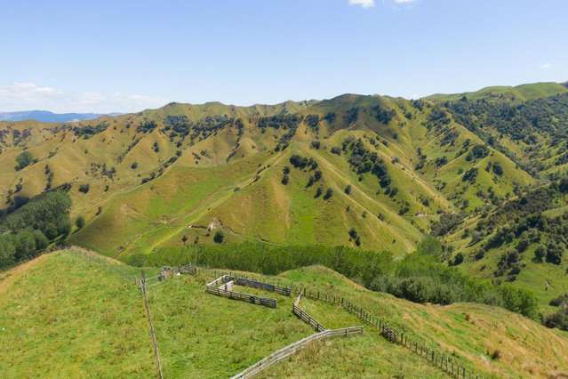 131 Rangitane Road Mangaweka_2