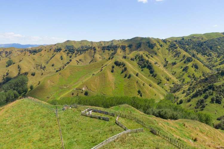 131 Rangitane Road Mangaweka_2