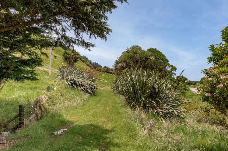 280 Nikau Road, State Highway 67 Nikau_27