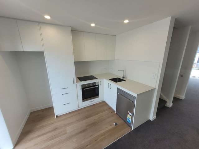 41 John Street Petone_1