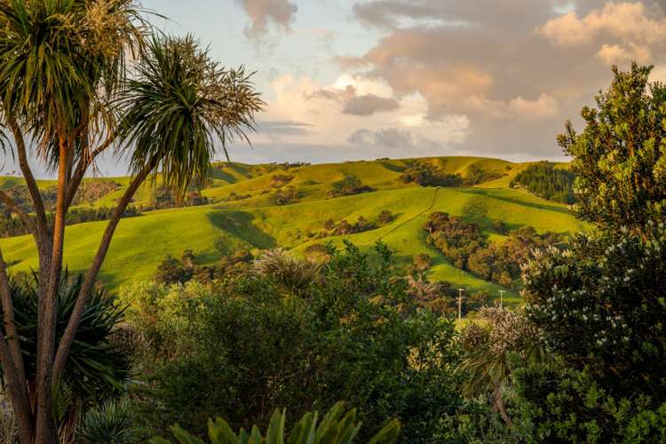 36 Urumaraki Avenue Helensville_34