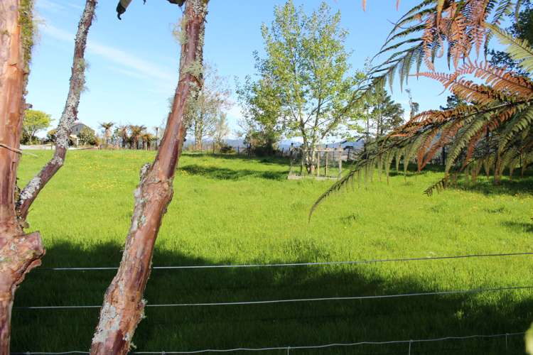 19 Baty Place Coal Creek_70