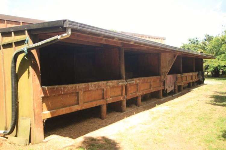 119 Saint Marys Road Waipu_18