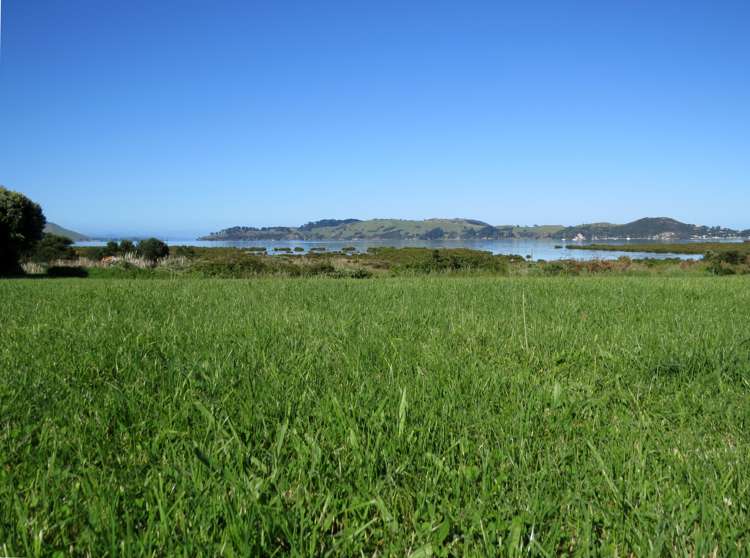 18 Koromiko Drive Coromandel_10