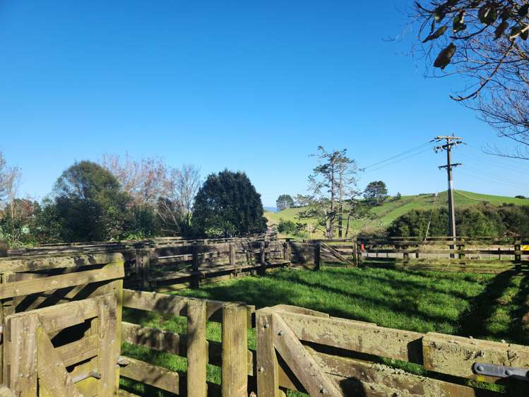 336 Dominion Road Tuakau_17