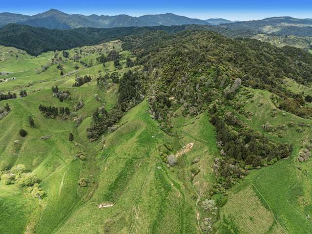 1794 State Highway 2 East Nukuhou_4