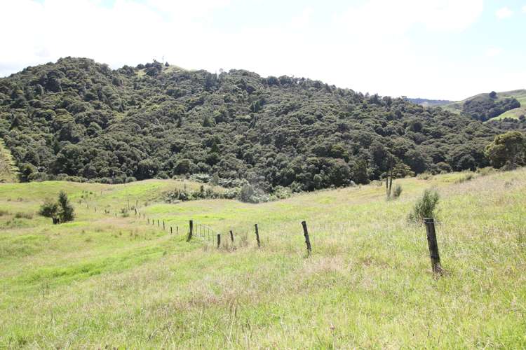 109 Paponga Road Broadwood_18