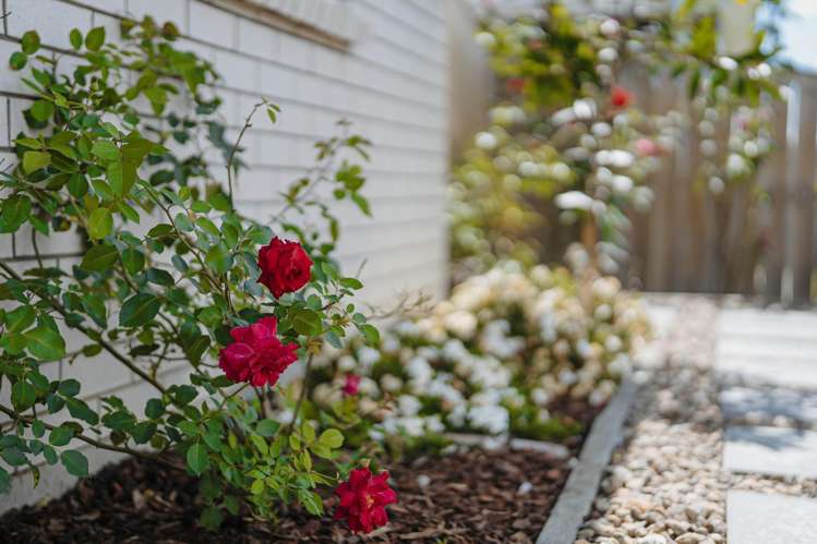 15 Bellenden Crescent Pokeno_25