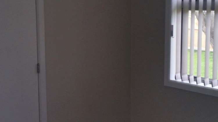 23 Tyrone Street Greerton_6