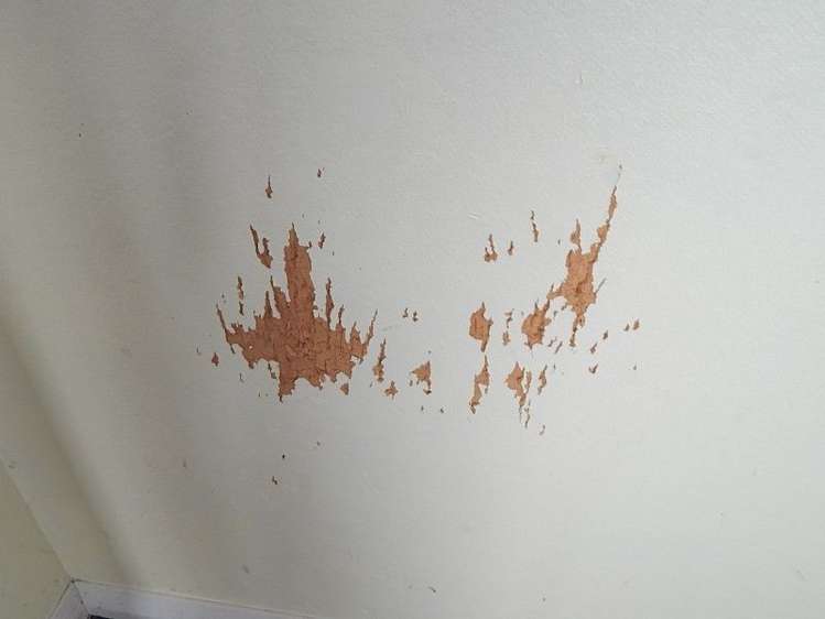 50 Neighbours Street Waimangaroa_16