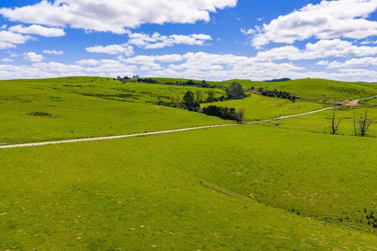 148 Malone Road Kokopu_21