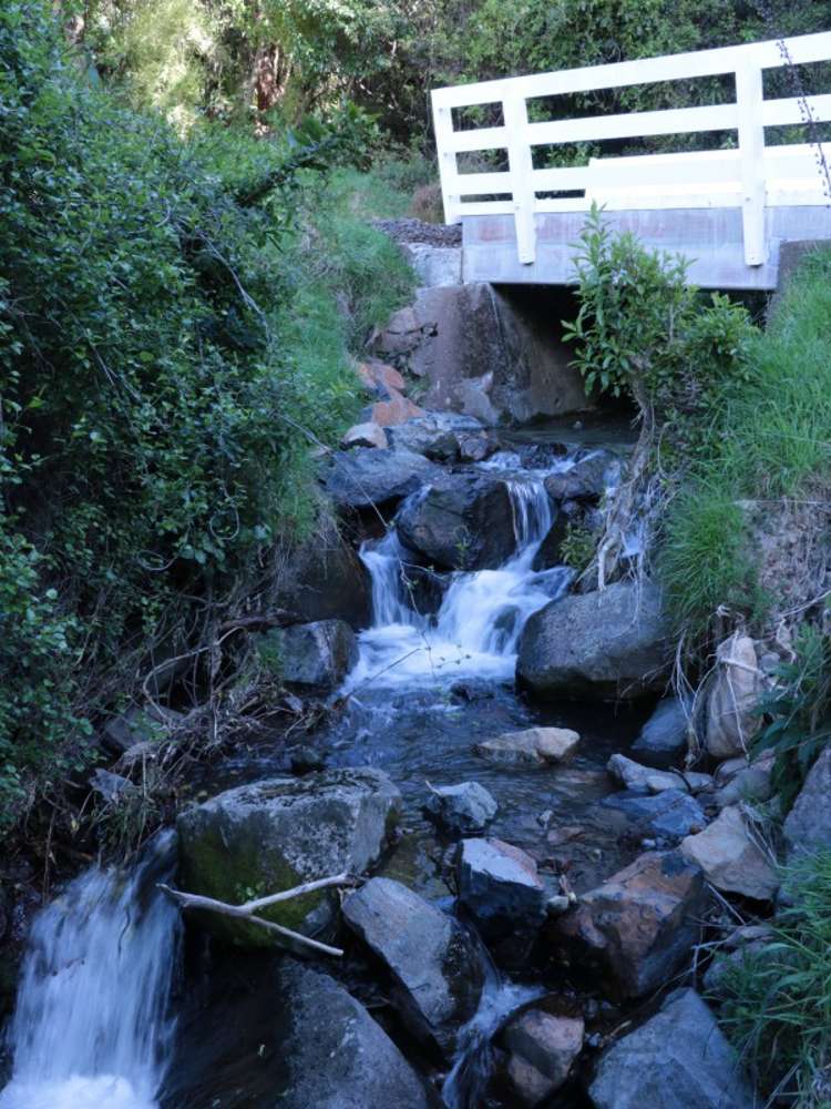 151 Stony Bay Road Akaroa_14